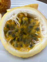 Load image into Gallery viewer, Organic Body Butter w/Fragrance Oil 6oz